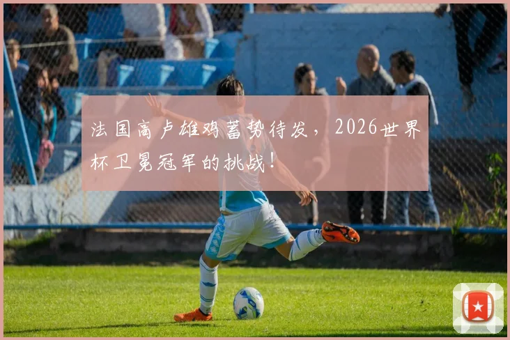 法国高卢雄鸡蓄势待发，2026世界杯卫冕冠军的挑战！