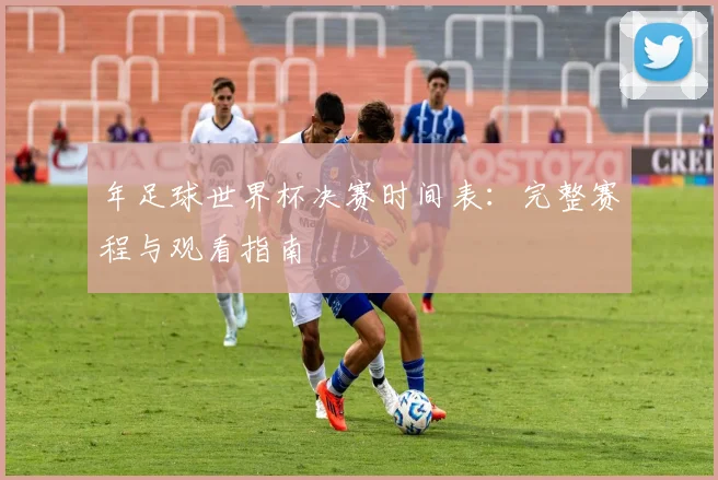 年足球世界杯决赛时间表：完整赛程与观看指南